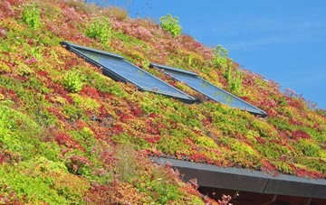 Hambleton Moss Side living roof systems