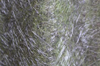 Hambleton Moss Side fibreglass roof work